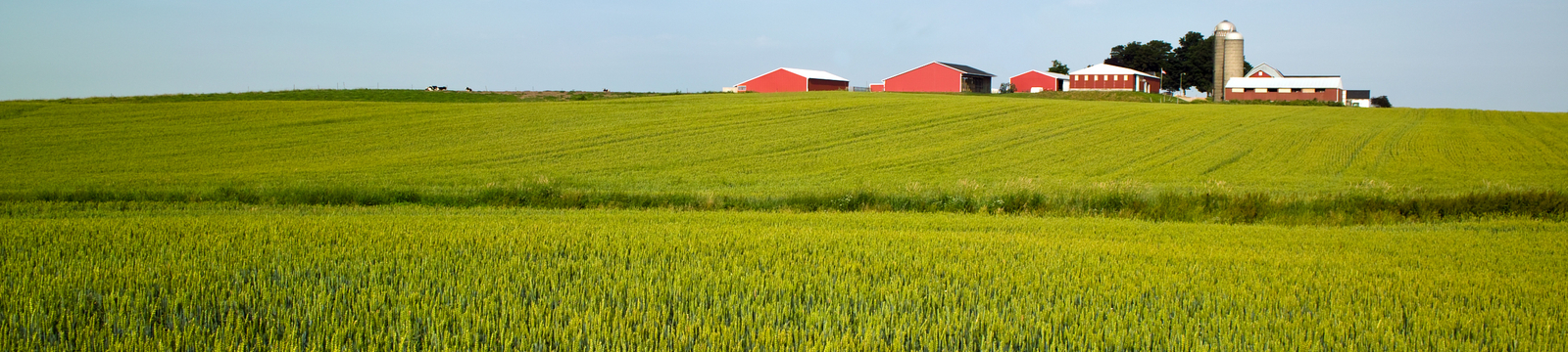 farm field with buildings in background